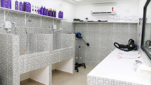 assentamento ceramico 004.jpg