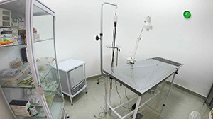pintura 008.jpg